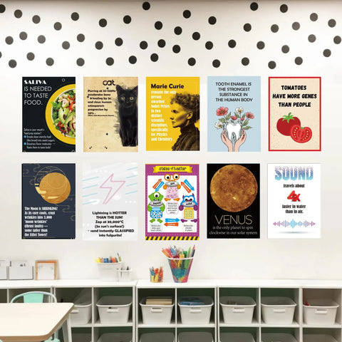 52 Weird Science Facts Posters Pack For Classrooms And STEM Education Bold Colorful Cool Bulletin Board Decor To Spark Curiosity
