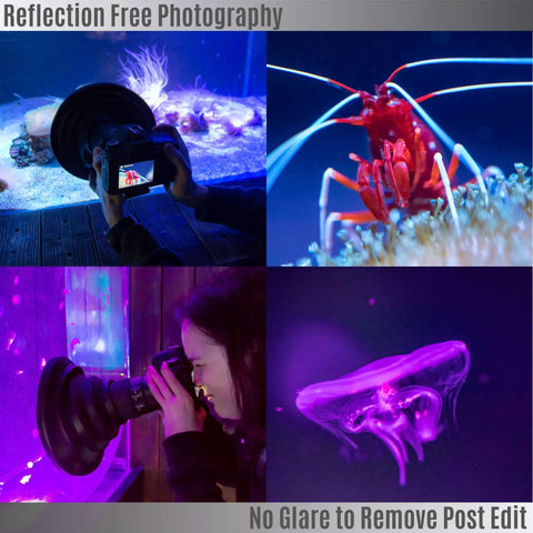 Reflection photography using Ultimate Lens Hood For DSLR Cameras, Anti Reflection Rubber Hood, Universal Fit 49mm To 82mm Filter Thread