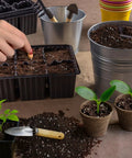 Organic Seed Starter Mix For Fast Germination And Strong Root Systems in pots and tray with seedlings and tools