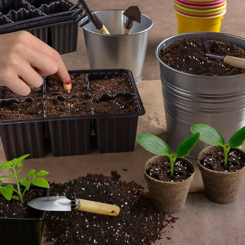 Organic Seed Starter Mix For Fast Germination And Strong Root Systems in pots and tray with seedlings and tools