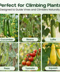 U Shape Garden Trellis For Raised Bed 48 By 48 Inch No Tools Required Setup In A Jiffy Climbing Plant Support For Cucumbers Peas