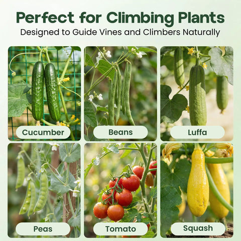 U Shape Garden Trellis For Raised Bed 48 By 48 Inch No Tools Required Setup In A Jiffy Climbing Plant Support For Cucumbers Peas