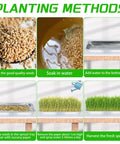 Planting methods using Six Pack Stainless Steel Seed Starter Trays For Germination Seedlings And Water Collection Durable Nursery Trays.