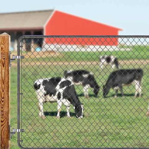 304 Stainless Steel Heavy Duty Gate Hinges 4 Pack installed on chain link fence with cows in the background