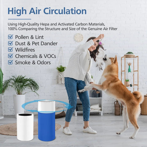 Replacement Filter Pack For 411 Series Air Purifiers That Keeps Your Air Fresh And Breathe Easy, woman playing with dog
