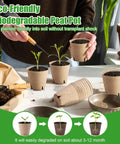 Person using 130 Pcs Biodegradable 3 Inch Peat Pots Seed Starting Kit With Drainage Holes, showing plant growth stages.