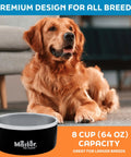 Game Changer Rock Solid Extra Thick Stainless Steel Dog Bowl 64 Oz Large heavy duty pet dish with dog resting nearby.
