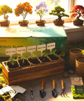 Five Pack Bonsai Tree Kit With Full Tools And Seed Packets Indoor Starter Kit In Wooden Box Easy Grow For Beginners A Chill Hobby Gift For Mom Men Women Plant Lovers This Christmas displayed on a table with tools and burlap pots.