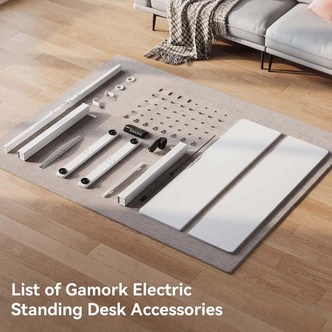 Premium Electric Standing Desk With Dual Motor For Height Adjustable Workstation accessories laid out on a rug.