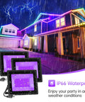 Black Light Flood Lights Two Pack 60W Each IP66 Waterproof With Plug And Five Foot Cable, illuminating a house in the rain