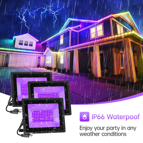 Black Light Flood Lights Two Pack 60W Each IP66 Waterproof With Plug And Five Foot Cable, illuminating a house in the rain