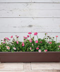 Brown Countryside Flower Box Planter 36 Inch Big Ol Lightweight Fade Resistant Plastic Garden Container with flowers