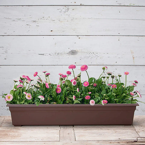 Brown Countryside Flower Box Planter 36 Inch Big Ol Lightweight Fade Resistant Plastic Garden Container with flowers