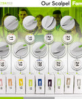 Disposable Scalpel Blades Pack Of 10 Sharp Tempered Stainless Steel With Plastic Handle Individually Wrapped Sterile No 11 For Dermaplaning Crafts And More Heavy Duty Easy Grip display with blade sizes 10, 11, 12, 15, 20, 21, 22, 23, 24
