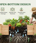 8x2ft Outdoor Wooden Raised Garden Bed With Elevated Planter Box For Veggies And Herbs shown with plant growth and drainage illustration