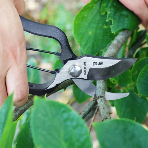 Heavy Duty 8 Inch Japanese Pruning Shears For Gardening cutting branch, hand forged carbon steel, made in Japan, bypass pruners.