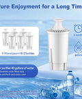 Infographic of Water Filter Replacement for Brita Pitchers and Dispensers, NSF Certified, showing purifying capacity and lifespan.