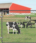 Heavy Duty Stainless Steel Gate Hinges 2 Pack Wall Mount Hardware For Wood And Concrete Outdoor Farm Fencing on cattle gate.