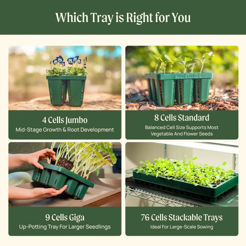10 By 20 Inch Seed Starter Tray With 76 Cells, Stackable Germination Trays For Plants Vegetables Herbs And Flowers, Space Saving Design With Air Pruning, Great For Indoor Seed Starting, 4 Pack