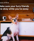 Dog sitting near a shelf with Indoor And Outdoor Plug In Smart Security Camera With AI Motion Alerts WiFi Home Surveillance