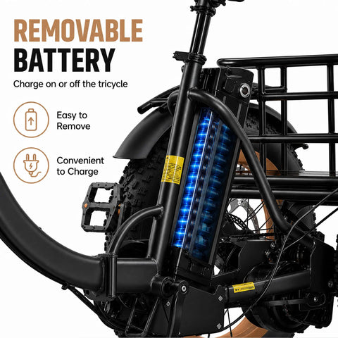Folding Three Wheel Electric Trike For Adults 750W 48V Fat Tire 25MPH removable battery on frame