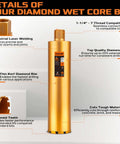 Front view of KSEIBI 619140 wet diamond core drill bit, 5-1/2 in diameter with 1-1/4-7 arbor, gold body.