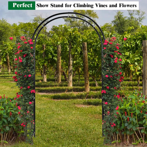 Sturdy Metal Garden Arch For Outdoor Entry And Wedding Backdrop Seven Point Two Foot Arbor covered in climbing roses in a vineyard