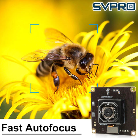 4K Autofocus USB Camera Module With In Body Image Stabilization IBIS For Ultra Smooth Video Anti Shake Board UVC Compatible