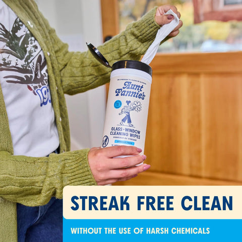 Front view of Aunt Fannie's Glass & Window Cleaning Wipes bottle, 35-count, white container with blue label and black lid.
