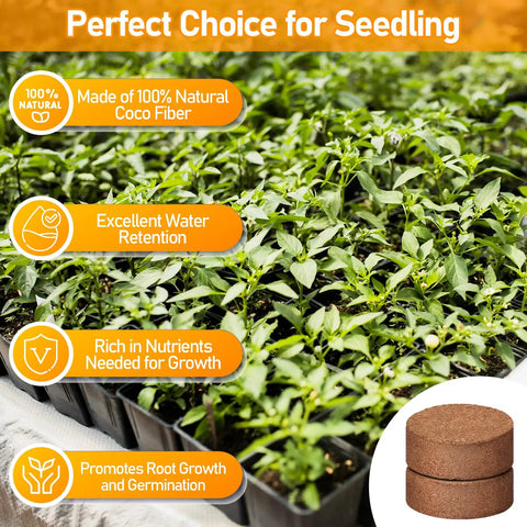 50 Pack 30mm Coco Coir Pellets Seed Starter Soil Mix Organic Coconut Coir Pods For Seedlings Indoor Outdoor Plants Bonsai Herbs Vegetables Flowers No Fuss Grow Kit image showing seedlings in coco coir pellets with benefits listed.