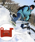 Two Pairs MT600 Electric Bike Disc Brake Pads For LD-200PLUS And LD4X Hydraulics in snowy conditions
