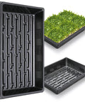 Five Pack Plant Growing Trays For Seed Starting And Microgreens Dope Leakproof Reusable Plastic Germination Starter Flats No Holes Large 16.9 By 10 By 2.5 Inches Transplant Fodder Trays