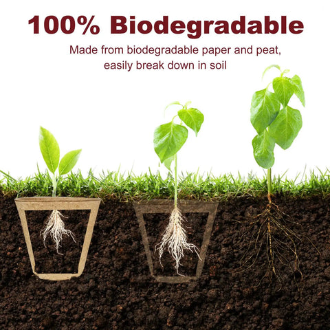 Biodegradable Peat Pots Seed Starter Kit 45 Pack 3.15 Inch With Drainage Holes Includes 30 Plant Labels breaking down in soil