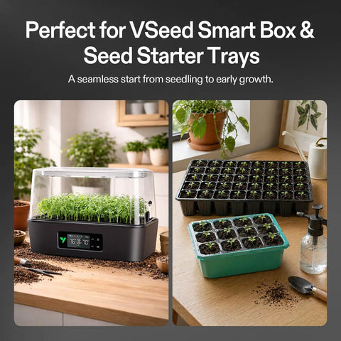 Seed Rooter Plugs For Seedlings And Cuttings, 40 Cube Pack Optimizes Germination With Balanced Air And Moisture