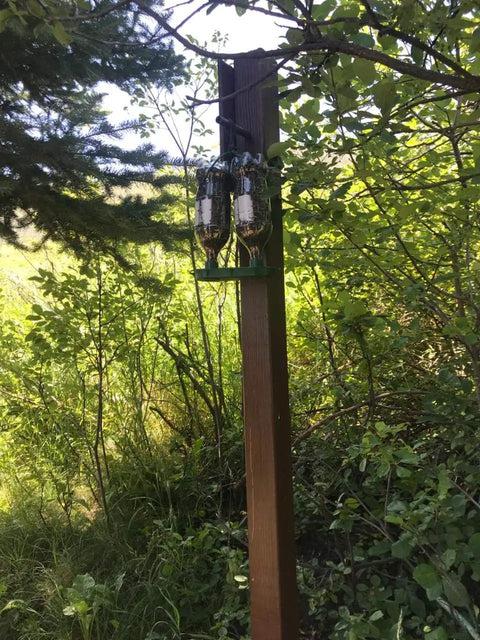 Jumbo Wild Bird Feeder Kits For Kids. Fun Upcycle Project Using Two 2 Liter Plastic Soda Bottles Filled With Bird Seed. Twist Onto Terra Cotta Tray And Hang. Great Hobby For Kids At Home To Attract Birds Responsibly.