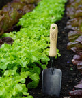 Forged Hand Trowel For Roots And Planting, Heavy Duty Garden Tool With Sharp Boron Steel Head in vegetable garden soil