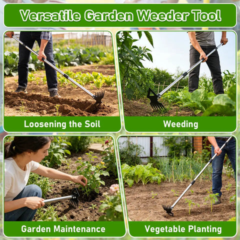 Beefy 56 Inch Long Handle Weed Puller Tool Dual Head 2 In 1 Weed Rake And Garden Hoe used for weeding and soil loosening in gardens.
