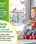 Child watching birds through clear window bird feeder with suction cup hanger, three section tray and roof cover.