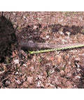Chain pulling tree root with Heavy Duty Steel 360 Degree Tree Stump Remover Attachment for Tractors and ATVs, forest ground view