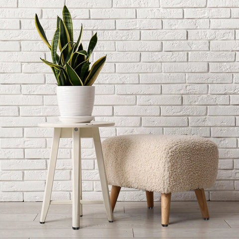 Sturdy Adjustable Furniture Levelers And Threaded Legs With Screw On Chair Glides 4 Piece Black Kit Featuring 5 16 Inch 18 Threads in use with a plant on a table.