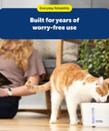 Cat drinking from a Viva Pet Fountain Replacement Pump Ultra Quiet Hydration Booster Backup Pump shown in use