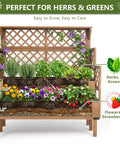 Two Tier Raised Garden Bed With Trellis And Lattice Back For Climbing Plants Wooden Outdoor Planter For Vegetables Herbs And Flowers Modern Minimal Design For Patio Balcony Or Backyard with herbs and flowers visible