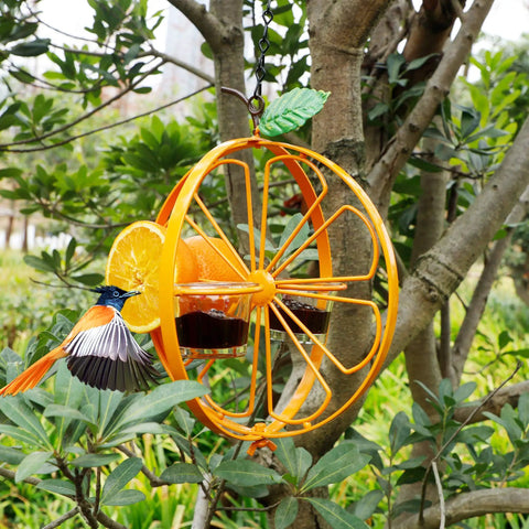 Oriole Bird Feeder For Outdoors Jelly And Oranges Glass And Powder Coated Metal Hanging Feeder With Clear Jelly Cup in orange