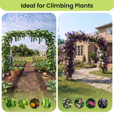 Versatile Garden Arch Trellis 126 By 94.5 Inches, Rust-Proof PE Coated Metal Arbors with climbing plants in outdoor settings.