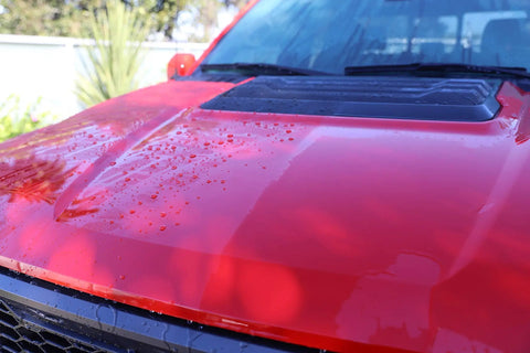 Touchless SiO2 Shield Sealant For Paint, Glass And Wheels, Water Activated, Spray On Rinse Off, Long Lasting Protection, Beads Water Like Crazy, 1 Gallon Refill For Trigger Bottle showing beading water on red car hood.