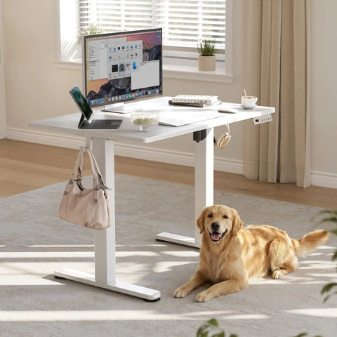 Electric Standing Desk With Three Memory Presets, 40 By 24 Inch Sit To Stand Desk, quiet motor, ergonomic white top in home office