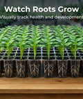 5 Pack BPA Free Seed Starter Trays Kit With 40 Cell Reusable Seedling Trays showing root growth on wooden table
