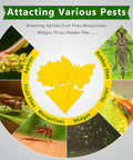 Visual showing pests attracted to Ultra Thick Yellow Sticky Traps For Fruit Flies And Fungus Gnats With 48 Pack.