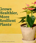 Start Your Indoor Plant Glow Up For Top Shelf Potting Mix For All Houseplants Keeping Roots Thriving For Up To Six Months With Peat Moss Coconut Coir And Perlite Boosting Water Retention And Release In A 6 Quart 2 Pack Bundle Ready For Any Room with healthy green leaves in a clay pot.