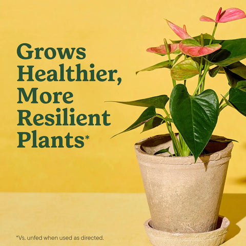 Start Your Indoor Plant Glow Up For Top Shelf Potting Mix For All Houseplants Keeping Roots Thriving For Up To Six Months With Peat Moss Coconut Coir And Perlite Boosting Water Retention And Release In A 6 Quart 2 Pack Bundle Ready For Any Room with healthy green leaves in a clay pot.